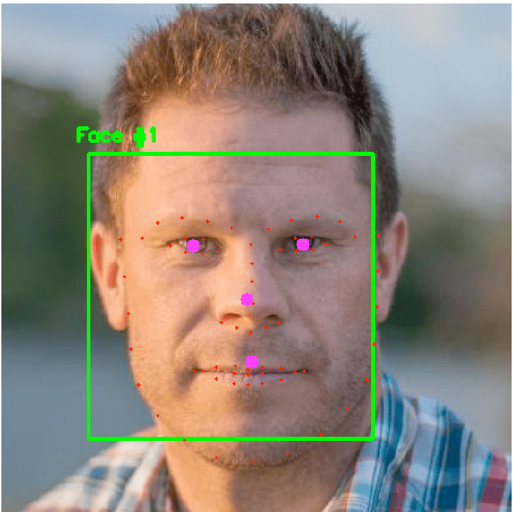 Human with feature annotation